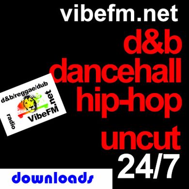 VibeFM.net Hip Hop Nov/Dec 2023 Mix by Agent Dre