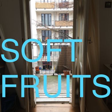 SOFT FRUITS #4 __ MOVING ON on RBL BERLIN 17.08.19