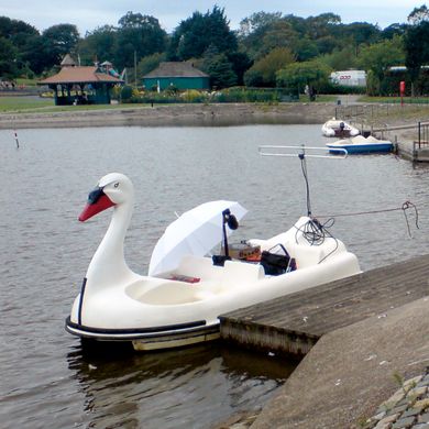 Phantom Circuit #81 (29th Aug. 2011):  interactive audio in Barrow Park