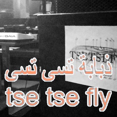 Tse Tse Fly - 2nd November 2016