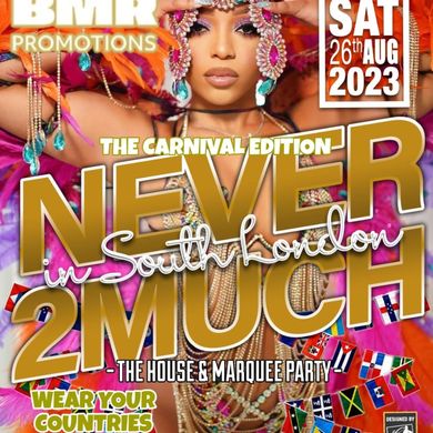 BMR NEVER TOO MUCH (CARNIVAL) FT CLAUDIUS & MARVELOUS FYAH METRO D-MAC ...