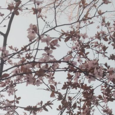 The Polyhymnal / 21st March 2022