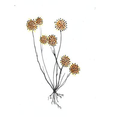 Corona_Flowers_#7 - Zivko Grozdanoski, "If I Were in Your Place"