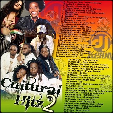 DJ Kenny - Cultural Hitz Vol. 2 (2008 Mix CD) by Dream-Sound Media