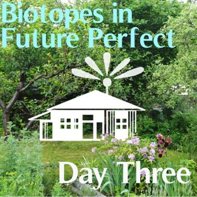 DR17 ::: Diskussion am Mittag ::: KAT AUSTEN ::: Biotopes in Future Perfect ::: 20170827