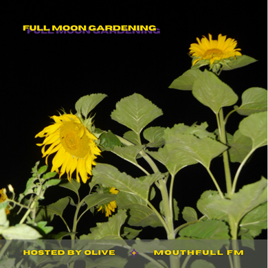 Full Moon Gardening w/ Olive - January 25th 2024