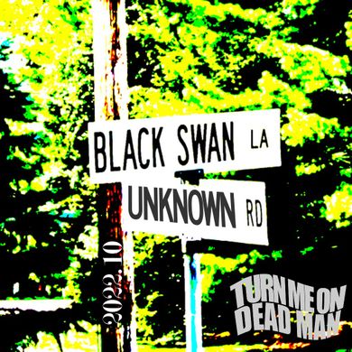 2022.10 Black Swan Lane / Unknown Road