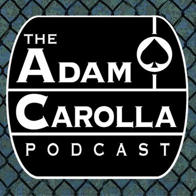 Adam Carolla Show: David Wild