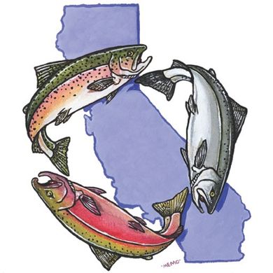 North Coast Experts Talk Water For Fish And People
