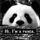 Panda Z Ostravy