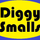 DJ Diggy Smalls