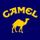 Camellot Rachid
