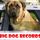 BIG DOG RECORDS