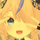 白木ひかり