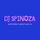 DJ Spinoza