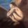 David Asher Winkles