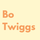 Bo Twiggs