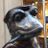 Masa Futaki's profile picture