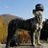 Jelle Ro's profile picture