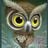 i_owl's profile picture
