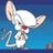Motyl Megahertz's profile picture