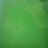 Daniel Guimaraes's profile picture