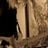 Estelle Baylis's profile picture