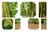 foi oi oi's profile picture