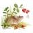 Đoàn Mạnh Phúc's profile picture
