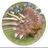 RyeCeratops's profile picture