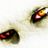 Nicholas Sujica's profile picture