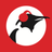Pinguin Radio's profile picture