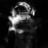 IREN's profile picture