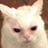 benji's profile picture