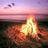 Bas de Kock's profile picture
