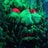 SharpoDnB's profile picture