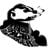 Rabid_Acid_Badger's profile picture