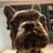 RichM's profile picture