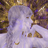 Gene Hex · Evening of Light's profile picture