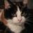 The Groove Point/ Halle Cat's profile picture