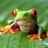 Peter ten Kleij's profile picture