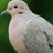 Jaime J Saromo's profile picture