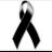 Patrizia Tudisco's profile picture