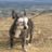 Mark Bonsey's profile picture