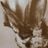 Roger Gordon Pim's profile picture