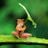Clayton Majona's profile picture