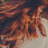 TALA's profile picture