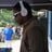 Dj-Willmix Del Mone-Pitault