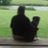 Toto Fenwick's profile picture