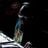 Brian Belle-Fortune's profile picture